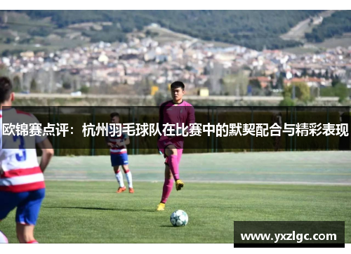 欧锦赛点评：杭州羽毛球队在比赛中的默契配合与精彩表现