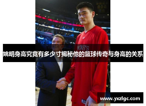 姚明身高究竟有多少寸揭秘他的篮球传奇与身高的关系